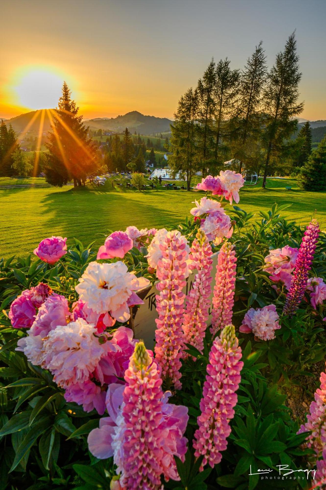 Отель Tihuta Retreat Пьятра-Фантанеле Экстерьер фото