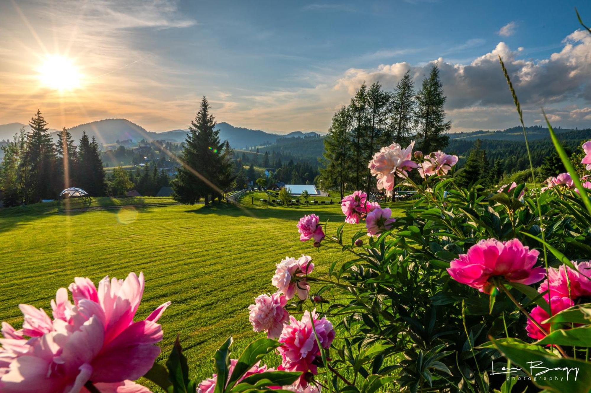 Отель Tihuta Retreat Пьятра-Фантанеле Экстерьер фото